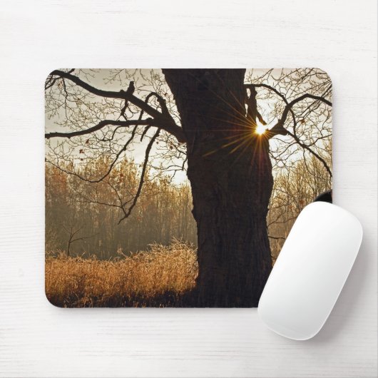 Herbsteiche Mousepad (Mit Mouse)