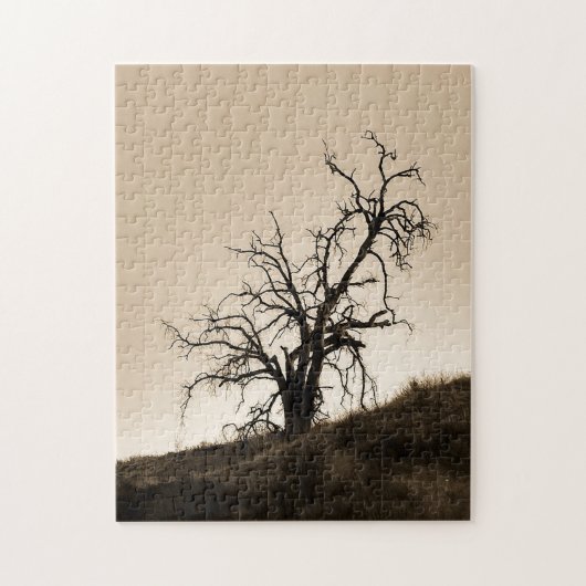 Herbsteiche Puzzle (Vertikal)