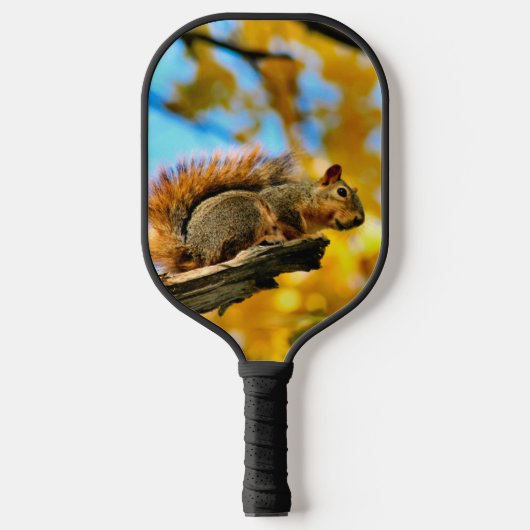 Herbsteichhörnchen Pickleball Schläger (Vorderseite)