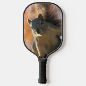 Herbsteichhörnchen Pickleball Schläger (Rückseite)