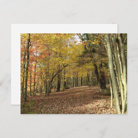 Herbsternte Erntedank Postkarte (Vorne/Hinten)