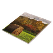 Herbsternte Fliese (Seite)