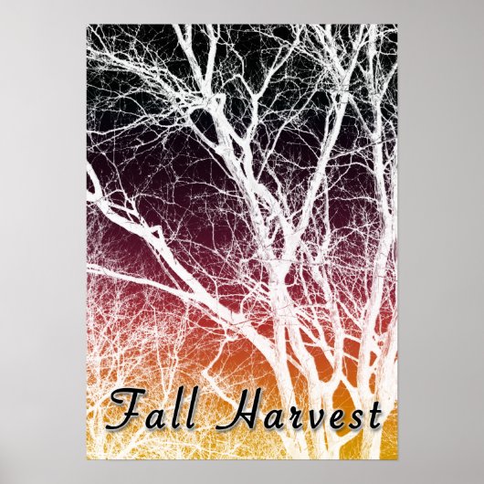 Herbsternte: Geisterbaum Poster (Vorne)