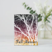 Herbsternte: Geisterbaum Postkarte (Stehend Vorderseite)