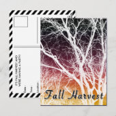 Herbsternte: Geisterbaum Postkarte (Vorne/Hinten)