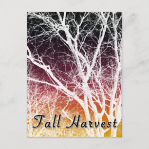 Herbsternte: Geisterbaum Postkarte