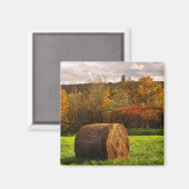 Herbsternte Magnet (Vorderseite/Rückseite)