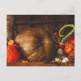Herbsternte Pumpkins Gourds Erntedank Fall Postkarte
