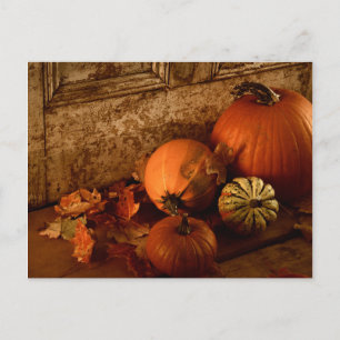Herbsternte/ Pumpkins und Gourds an der Tür Postkarte