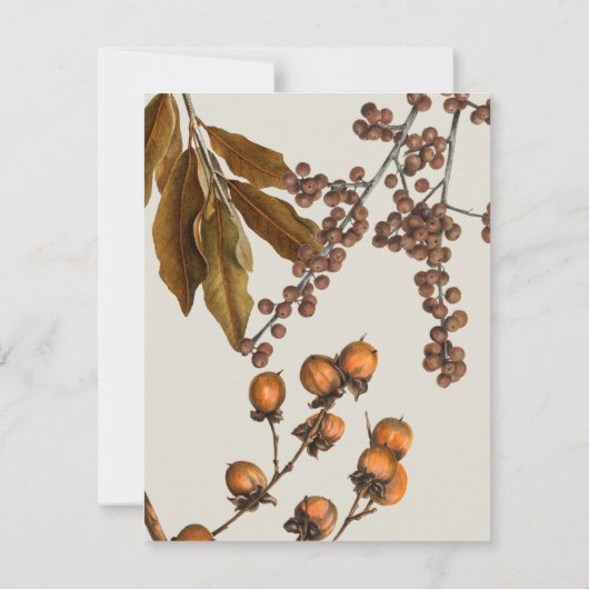 Herbstfall Wasserfarbenfolien-Blätter Mitteilungskarte (Rückseite)