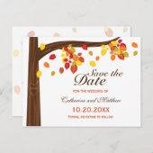 Herbstfallende Blätter beim Hochzeitsfeiern speich Ankündigungspostkarte (Vorne/Hinten)