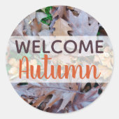 Herbstfallendes Blätter Runder Aufkleber (Vorderseite)