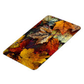 Herbstfallfolien Fotografie-Flexi-Magnet Magnet (Linke Seite)