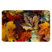 Herbstfallfolien Fotografie-Flexi-Magnet Magnet (Horizontal)
