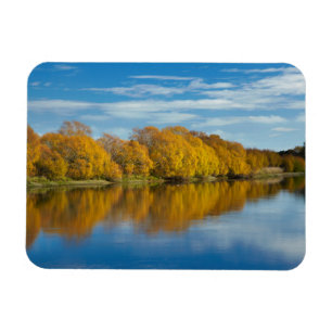 Herbstfarbe am Clutha-Fluss Magnet