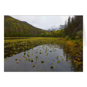 Herbstfarbe am Cub Lake