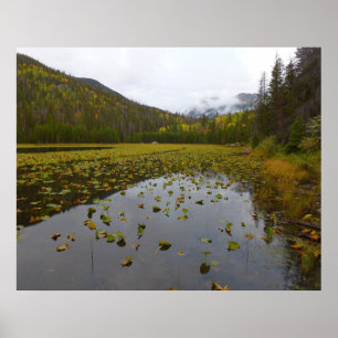 Herbstfarbe am Cub Lake Poster