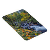 Herbstfarbe am Rande des Hungerfalles Magnet (Rechte Seite)