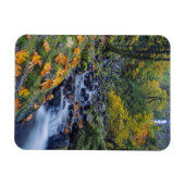 Herbstfarbe am Rande des Hungerfalles Magnet (Horizontal)