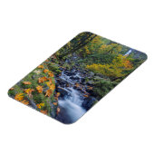 Herbstfarbe am Rande des Hungerfalles Magnet (Linke Seite)