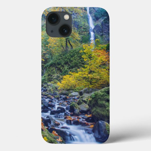 Herbstfarbe am Rande des Sternenbachs Fall 2 Case-Mate iPhone Hülle (Rückseite)