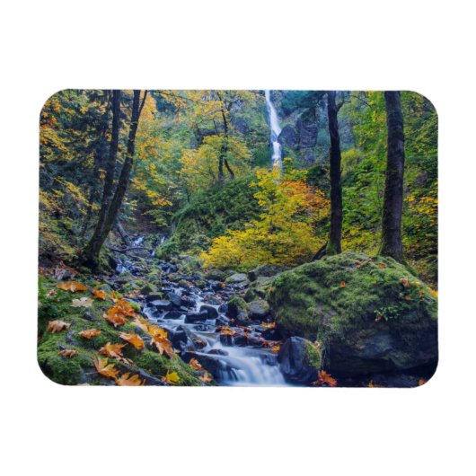 Herbstfarbe am Rande des Sternenbachs Fall 2 Magnet (Horizontal)