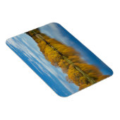 Herbstfarbe auf dem Fluss Clutha Magnet (Rechte Seite)