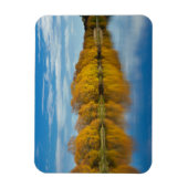 Herbstfarbe auf dem Fluss Clutha Magnet (Vertikal)