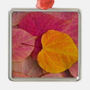 Herbstfarbe auf Forest Pansy Redbud abgefallene Ornament Aus Metall