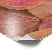 Herbstfarbe auf Forest Pansy Redbud gefallen Fotodruck (Ecke)