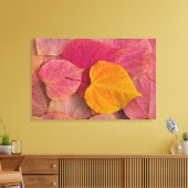 Herbstfarbe auf Forest Pansy Redbud gefallen Leinwanddruck (Insitu (Wohnzimmer))