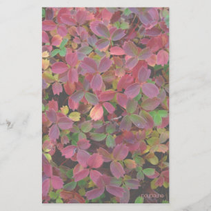 Herbstfarbe Briefpapier