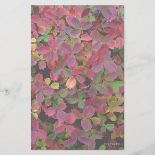 Herbstfarbe Briefpapier (Vorderseite)