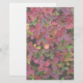Herbstfarbe Briefpapier (Vorne/Hinten)