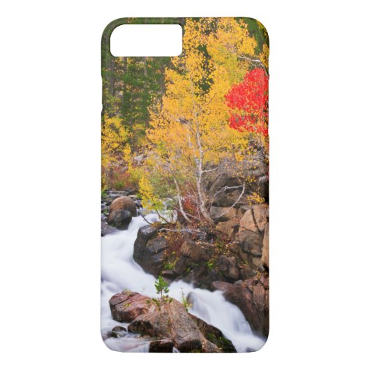 Herbstfarbe entlang Bischof Creek, CA Case-Mate iPhone Hülle (Rückseite)