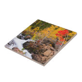 Herbstfarbe entlang Bischof Creek, CA Fliese (Seite)