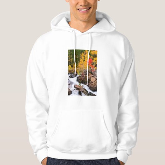 Herbstfarbe entlang Bischof Creek, CA Hoodie (Vorderseite)