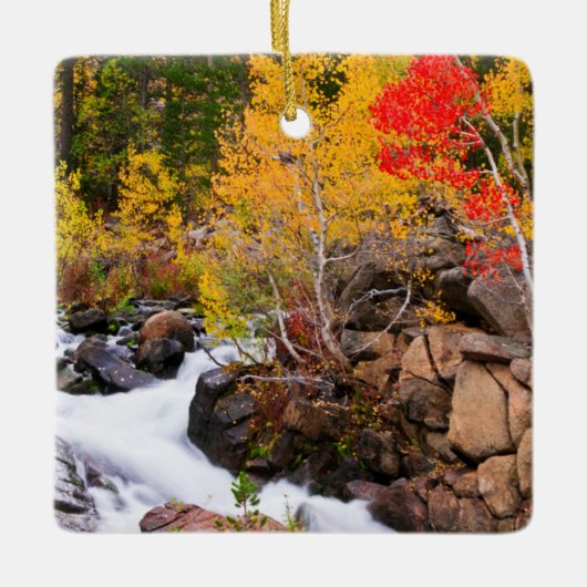 Herbstfarbe entlang Bischof Creek, CA Keramikornament (Vorderseite)