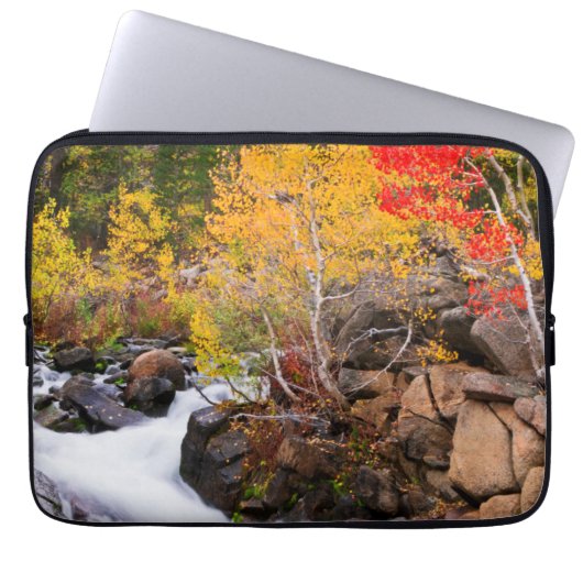 Herbstfarbe entlang Bischof Creek, CA Laptopschutzhülle (Vorderseite)