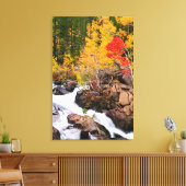 Herbstfarbe entlang Bischof Creek, CA Leinwanddruck (Insitu (Wohnzimmer))