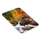 Herbstfarbe entlang Bischof Creek, CA Magnet (Rechte Seite)