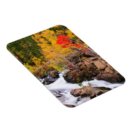 Herbstfarbe entlang Bischof Creek, CA Magnet (Rechte Seite)