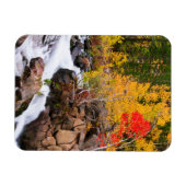 Herbstfarbe entlang Bischof Creek, CA Magnet (Horizontal)