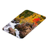 Herbstfarbe entlang Bischof Creek, CA Magnet (Linke Seite)