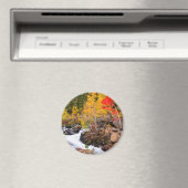 Herbstfarbe entlang Bischof Creek, CA Magnet (In Situ (Geschirrspüler))