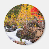 Herbstfarbe entlang Bischof Creek, CA Magnet (Vorne)