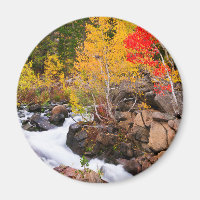 Herbstfarbe entlang Bischof Creek, CA