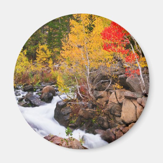 Herbstfarbe entlang Bischof Creek, CA Magnet (Vorne)