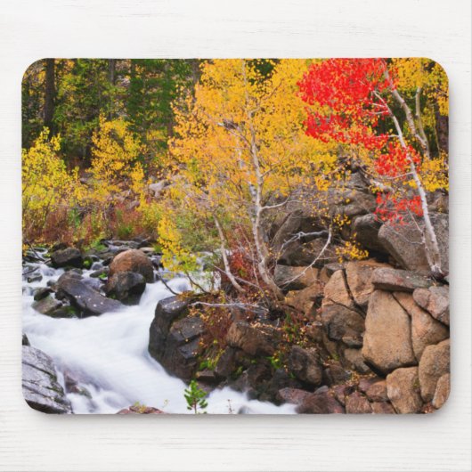 Herbstfarbe entlang Bischof Creek, CA Mousepad (Vorne)