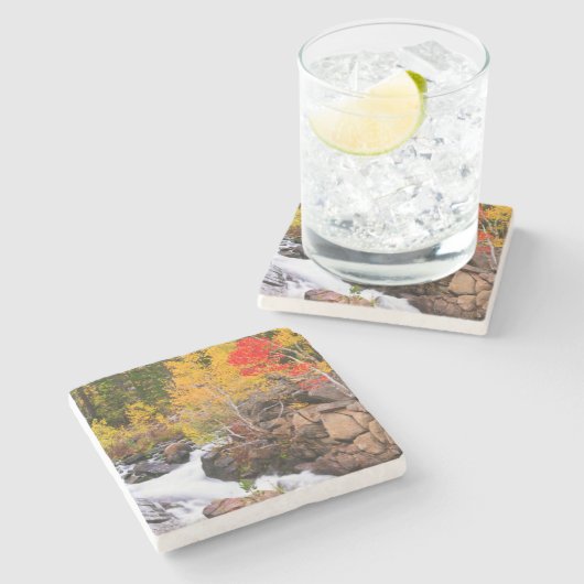 Herbstfarbe entlang Bischof Creek, CA Steinuntersetzer (Seitenansicht)